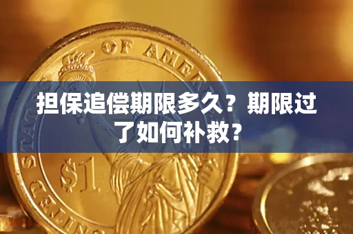 济南担保追偿期限多久？期限过了如何补救？