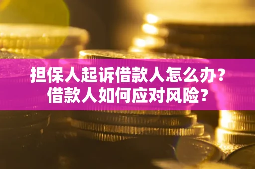 济南担保人起诉借款人怎么办？借款人如何应对风险？